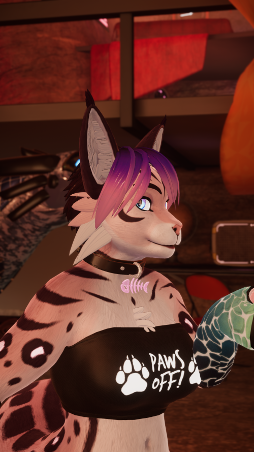 VRChat_2024-06-08_17-02-29.958_2560x1440.png