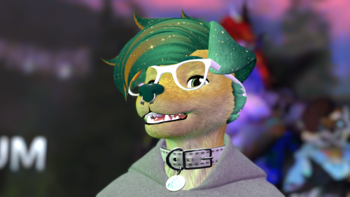 VRChat_2024-06-28_22-06-06.277_2560x1440.png