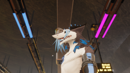 VRChat_2024-06-29_21-56-05.828_2560x1440.png
