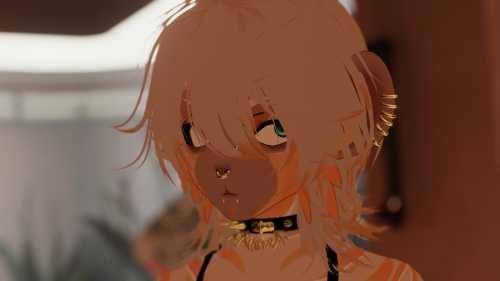 VRChat_2024-07-30_00-03-22.061_2560x1440.png