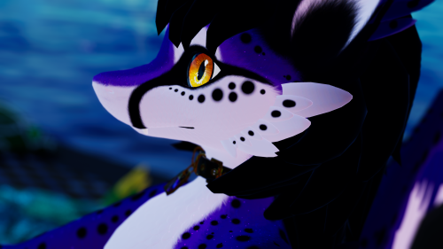 VRChat_2024-08-19_20-11-50.493_2560x1440.png