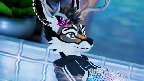 VRChat_2024-08-19_21-13-45.342_2560x1440.png