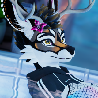 VRChat_2024-08-19_21-13-45.342_2560x1440
