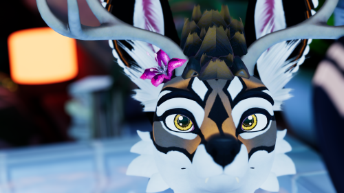 VRChat_2024-08-19_21-13-55.788_2560x1440.png