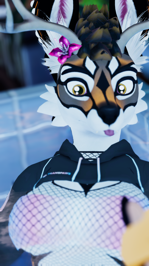 VRChat_2024-08-19_21-14-01.230_2560x1440.png