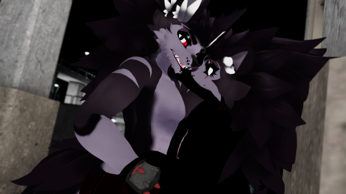 VRChat_2024-08-25_20-03-45.127_2560x1440.png