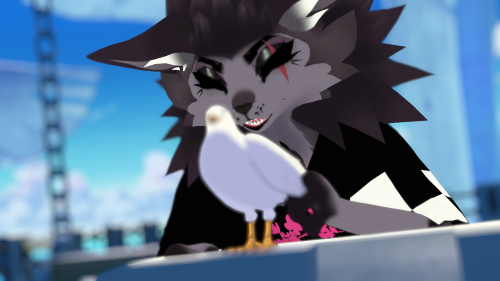 VRChat_2024-08-25_20-20-40.279_2560x1440.png