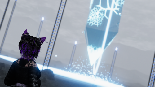 VRChat_2024-08-31_00-29-06.139_2560x1440.png