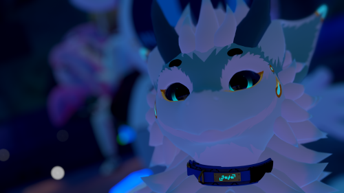VRChat_2024-09-04_10-35-21.377_2560x1440.png