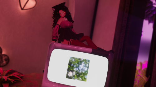 VRChat_2024-09-08_14-13-02.330_2560x1440.png