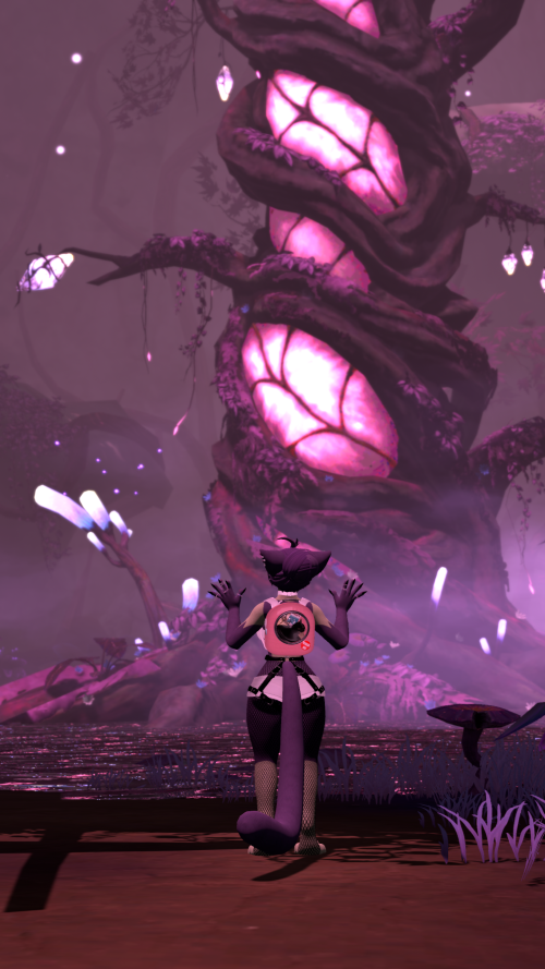 VRChat_2024-09-15_20-31-14.148_2560x1440.png