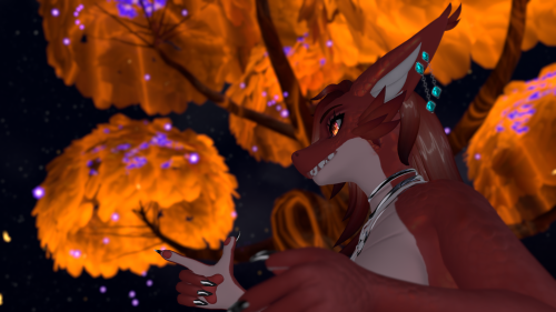 VRChat_2024-09-15_20-44-03.919_2560x1440.png