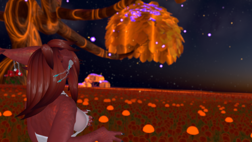 VRChat_2024-09-15_20-44-19.585_2560x1440.png