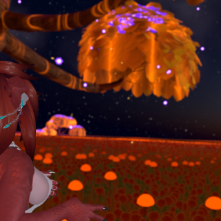 VRChat_2024-09-15_20-44-19.585_2560x1440