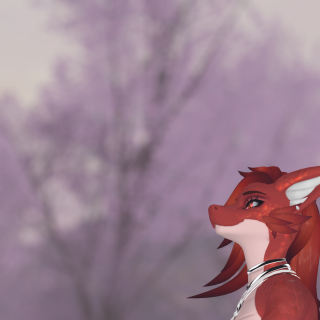 VRChat_2024-09-15_20-46-15.360_2560x1440