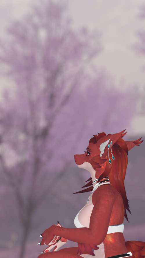 VRChat_2024-09-15_20-46-17.285_2560x1440.png
