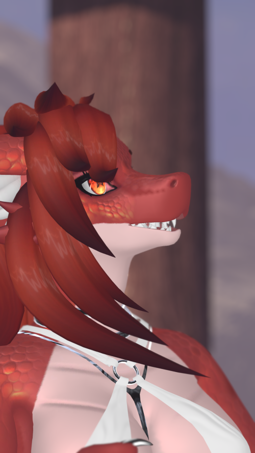 VRChat_2024-09-15_20-47-15.436_2560x1440.png