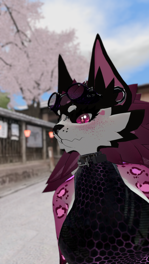 VRChat_2024-09-20_01-30-03.107_2560x1440.png