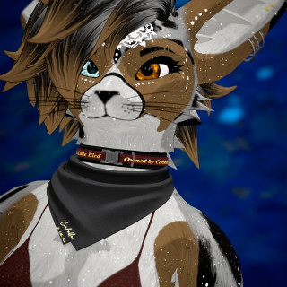 VRChat_2024-09-20_18-33-16.894_3840x2160